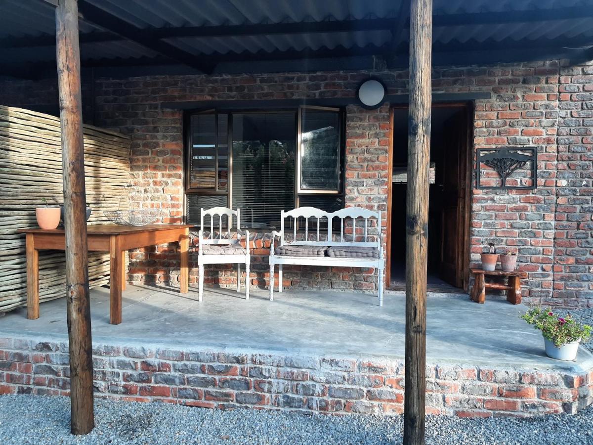 Apartament Dragon Tree Yzerfontein Zewnętrze zdjęcie